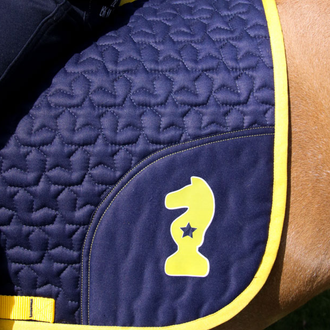 Little Knight Lancelot Saddle Pad