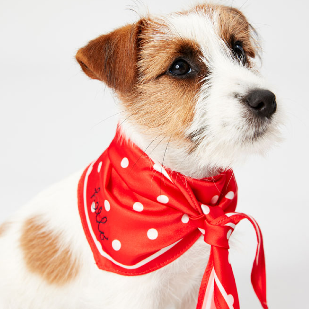 Joules Harbour Top & Neckerchief Set