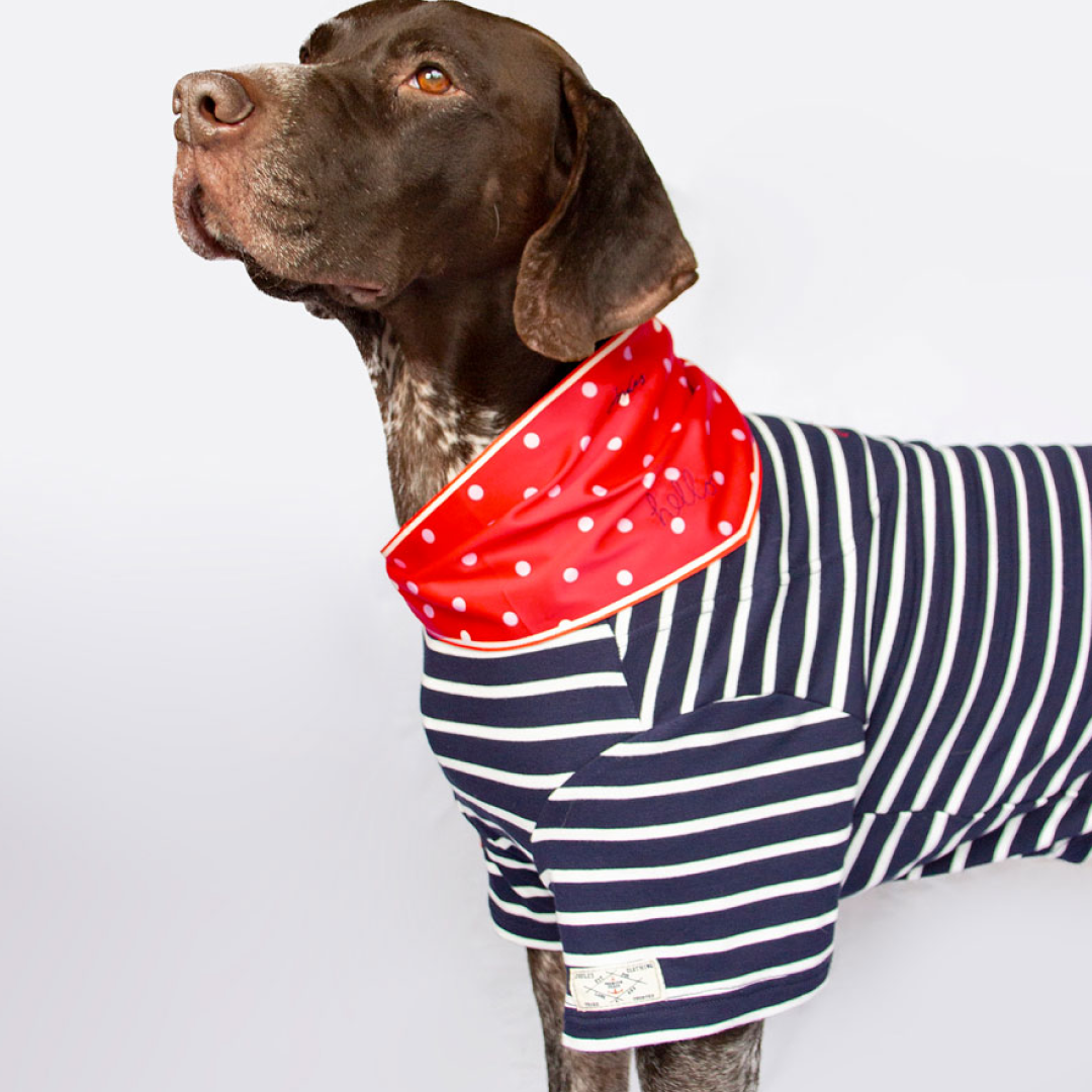 Joules Harbour Top & Neckerchief Set