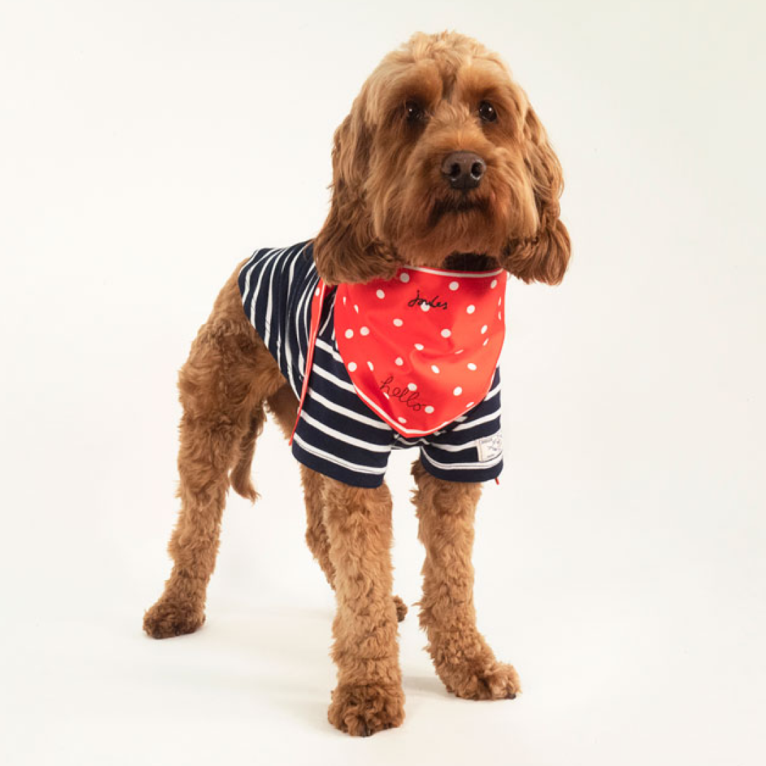 Joules Harbour Top & Neckerchief Set