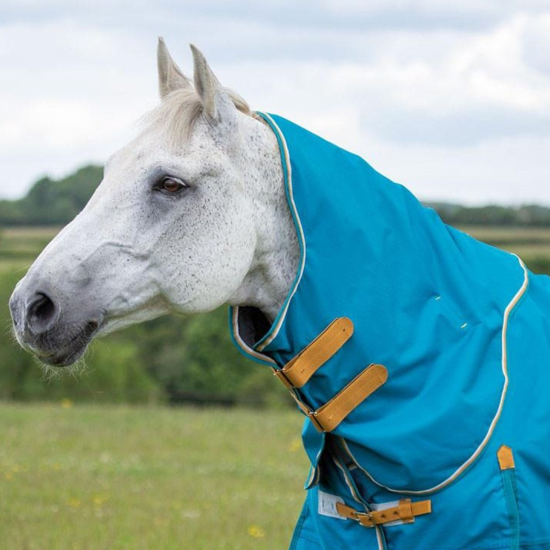 Shires Highlander Original Lite Neck Cover #colour_teal