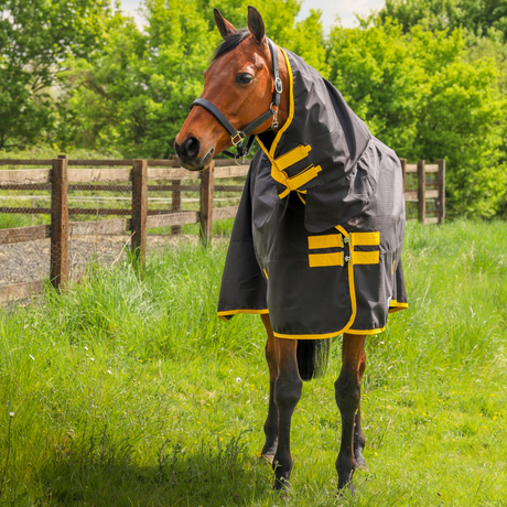 #colour_black-yellow