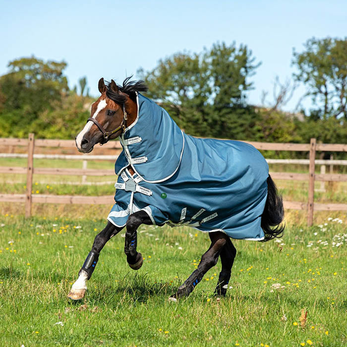 Turnout Rugs