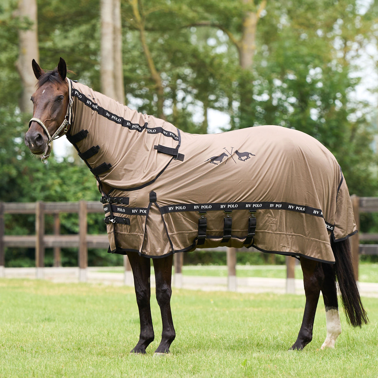 HV Polo Nena Fly Blanket #colour_straw
