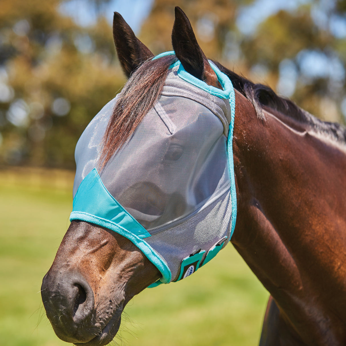 Weatherbeeta ComfiTec Deluxe Fine Mesh Mask #colour_grey-turquoise