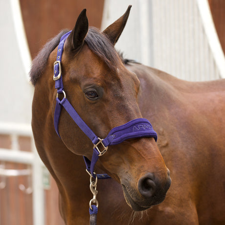 Shires ARMA Comfy Fleece Headcollar & Rope #colour_navy