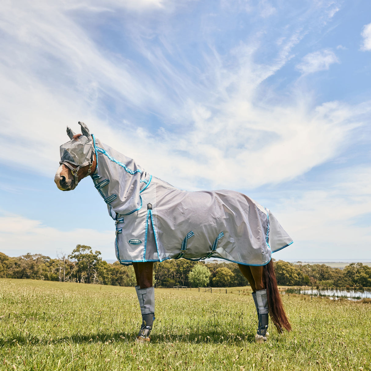 Weatherbeeta Comfitec Hexi Shield Dual Fly Mask #colour_silver-teal-blue
