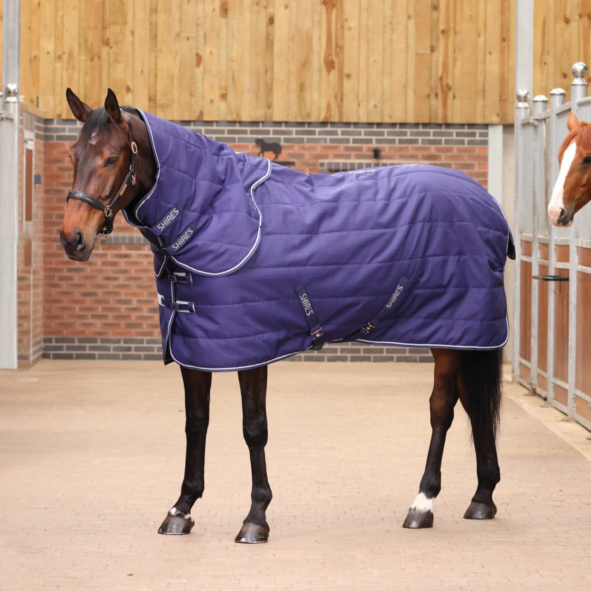 Shires Tempest Original 100g Stable Set #colour_navy