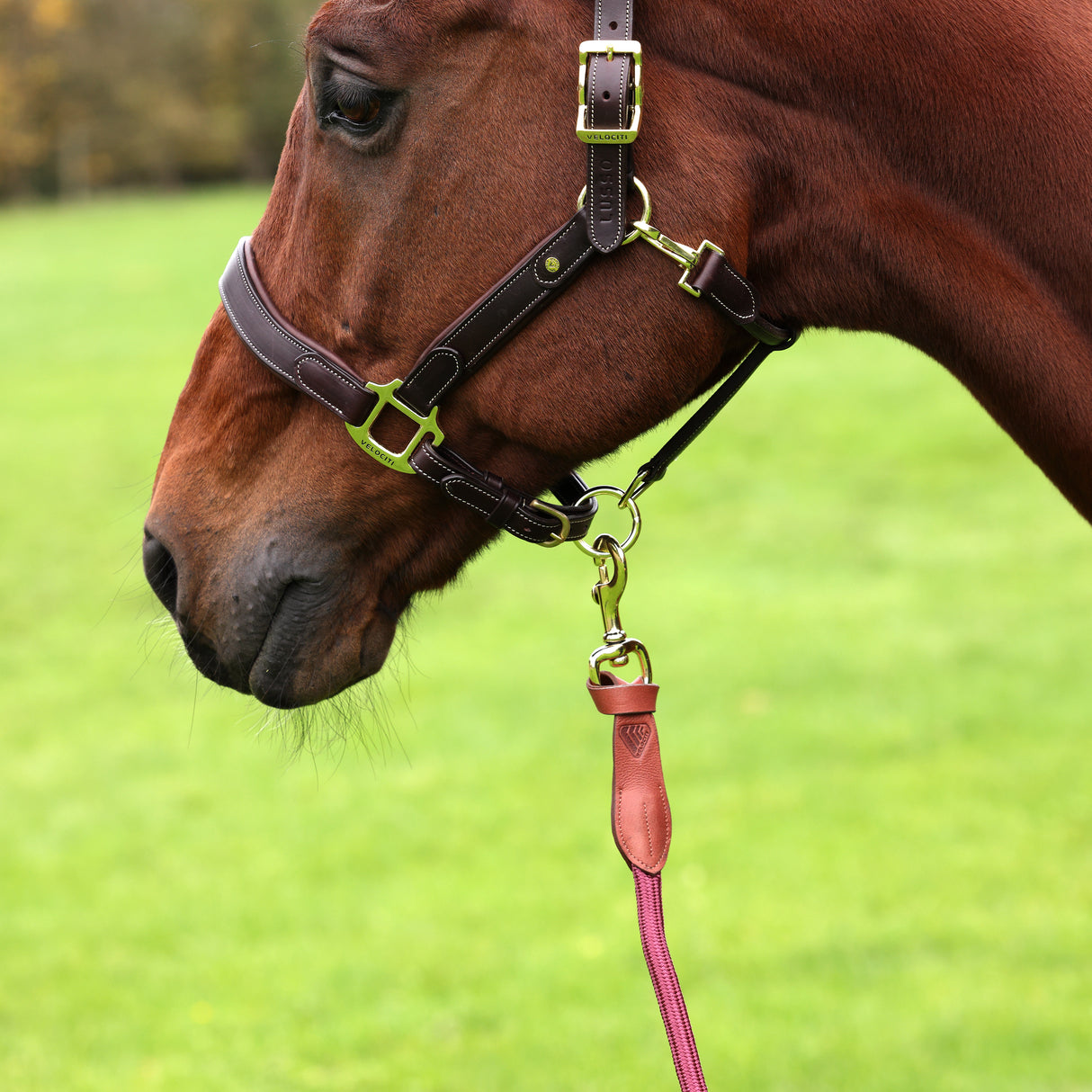 Shires Velociti Lusso Leather Lead Rope #colour_burgundy