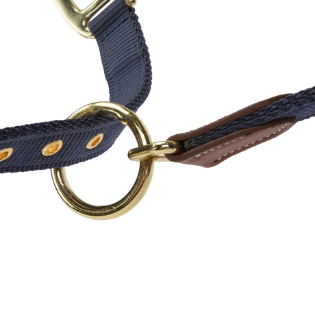 Shires ARMA Porto Headcollar #colour_navy