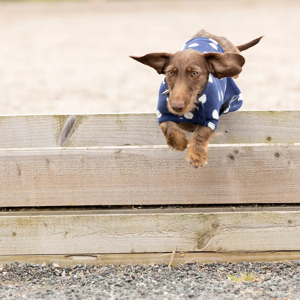 Supreme Products Dotty Fleece Dog Coat #colour_noble-navy