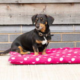 Supreme Products Dotty Fleece Dog Bed #colour_paradise-pink