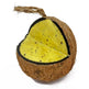 Natures Grub Coconut