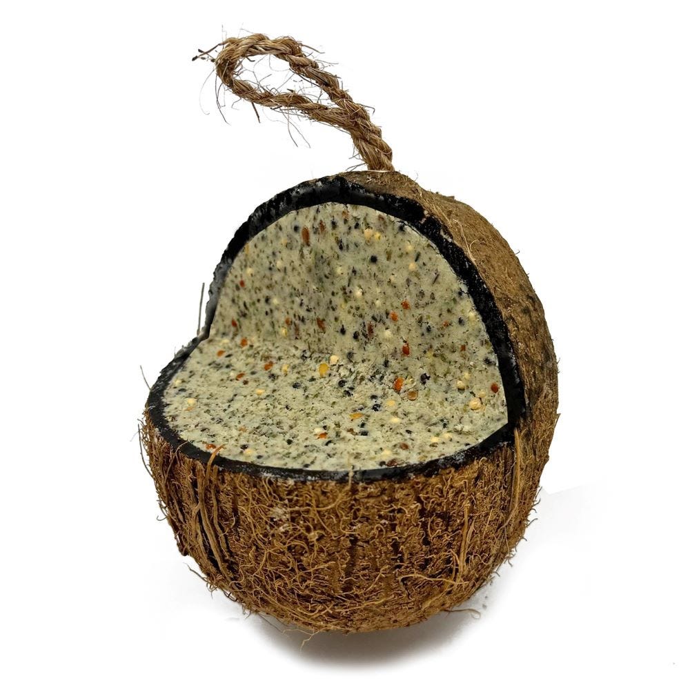 Natures Grub Coconut