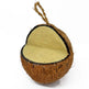 Natures Grub Coconut