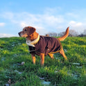 Supreme Products Royal Occasion Fleece Dog Coat #colour_black