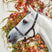 Mackey Equisential Leather Headcollar #colour_black