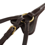 #colour_australian-nut