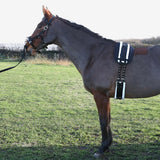 Hy Equestrian Lunge Roller Pad