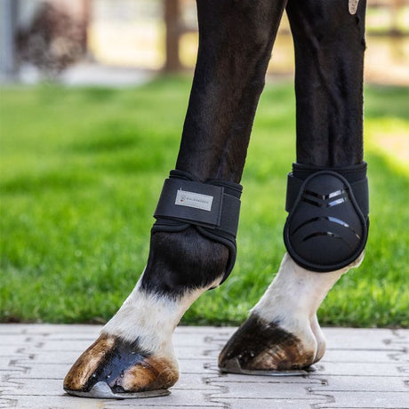 Waldhausen Basic Plus Fetlock Boots #colour_black