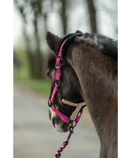 HKM Head Collar -Polly- #colour_magenta