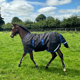 Horseware Ireland Amigo Ripstop 900D 200g Foal Turnout Rug #colour_black-classic-blue