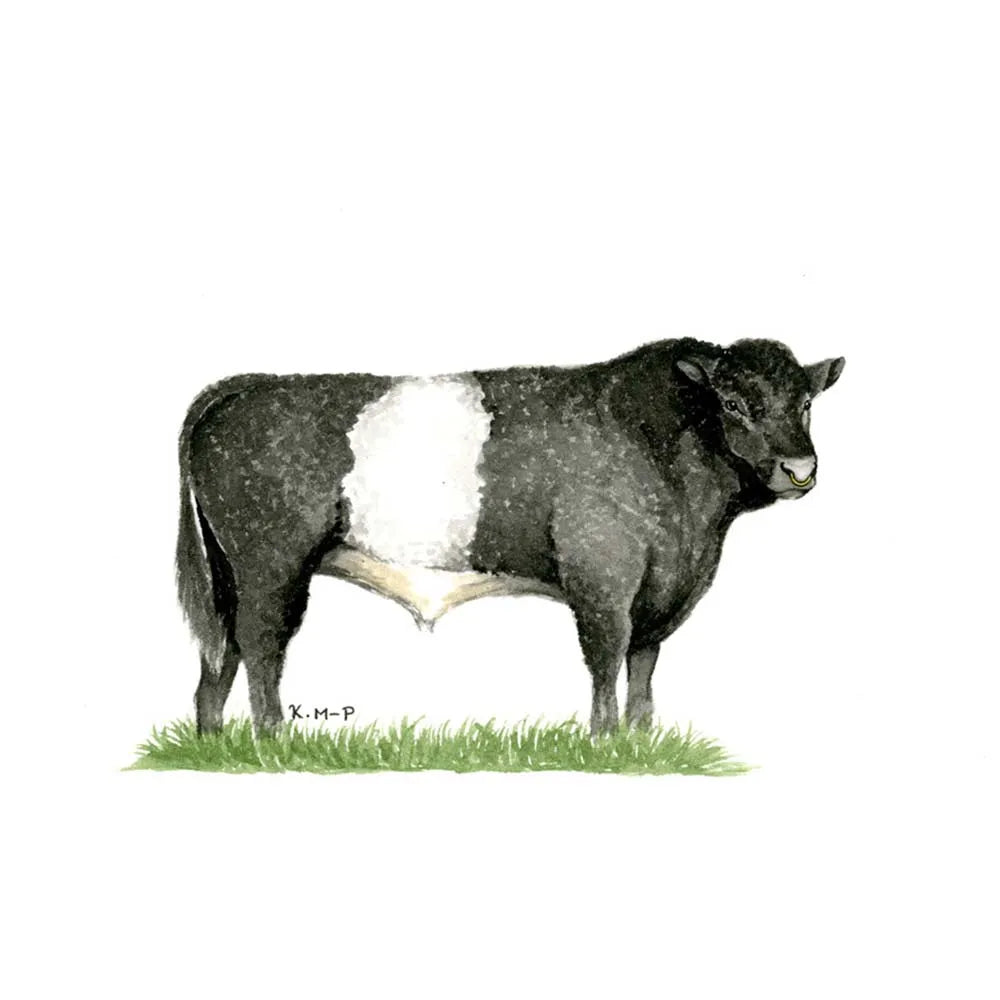 Kevin Milner Countryside Cards #style_belted-galloway