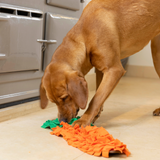 House of Paws Snuffle Toy #style_carrot