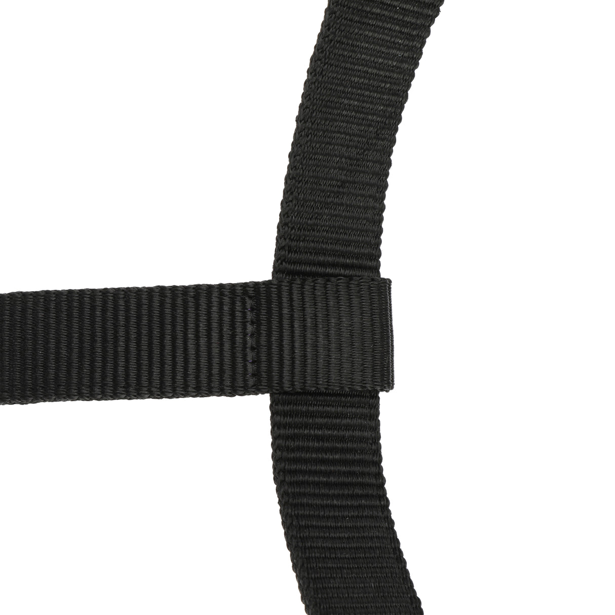 Shires ARMA Padded Headcollar #colour_black