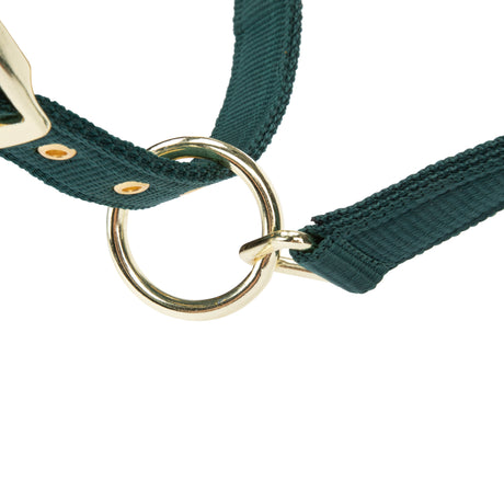 Shires ARMA Padded Headcollar #colour_green