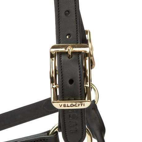 Shires Velociti Lusso Soria Leather Headcollar #colour_black