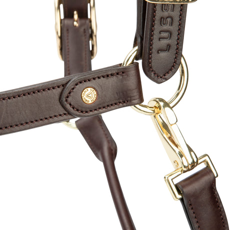 Shires Velociti Lusso Soria Leather Headcollar #colour_havana