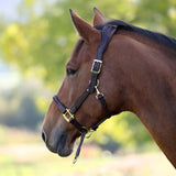 Shires Velociti Lusso Soria Leather Headcollar #colour_havana