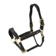 Shires Velociti Lusso Lorca Leather Headcollar #colour_black