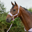 Supreme Products Dotty Fleece Head Collar & Lead Rope #colour_lavish-lilac