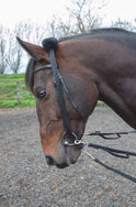 Adaptateur de longe Shires