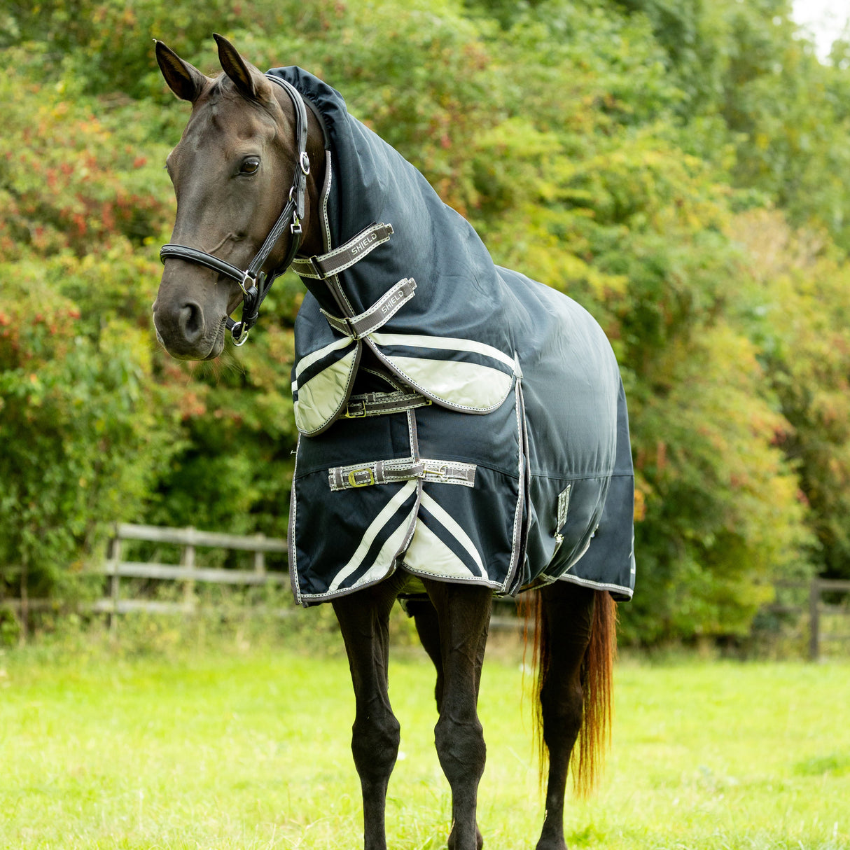 DefenceX Shield 200g Turnout Rug with Detachable Neck