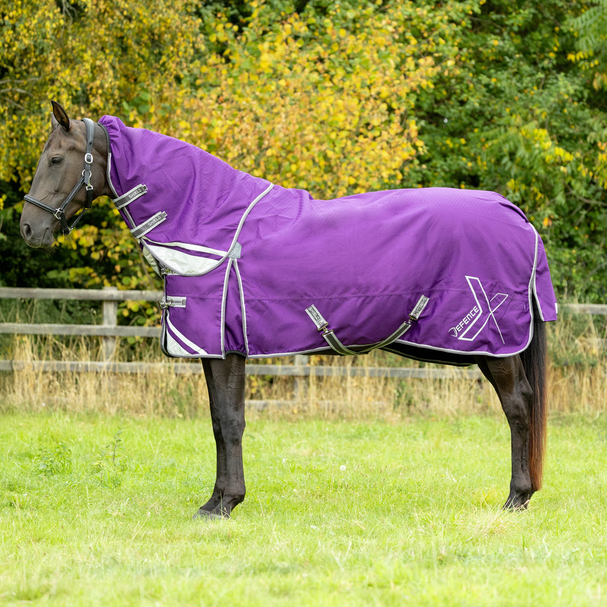 DefenceX Shield 300g Turnout Rug with Detachable Neck