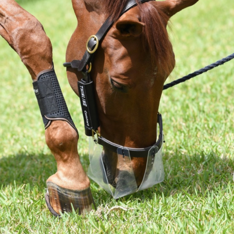 ThinLine Flexible Filly Grazing Muzzle