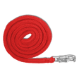 Waldhausen Economic Panic Hook Lead Rope #colour_red