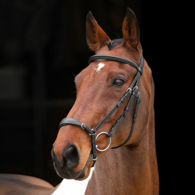 Shires Velociti Drop Noseband Bridle #colour_black