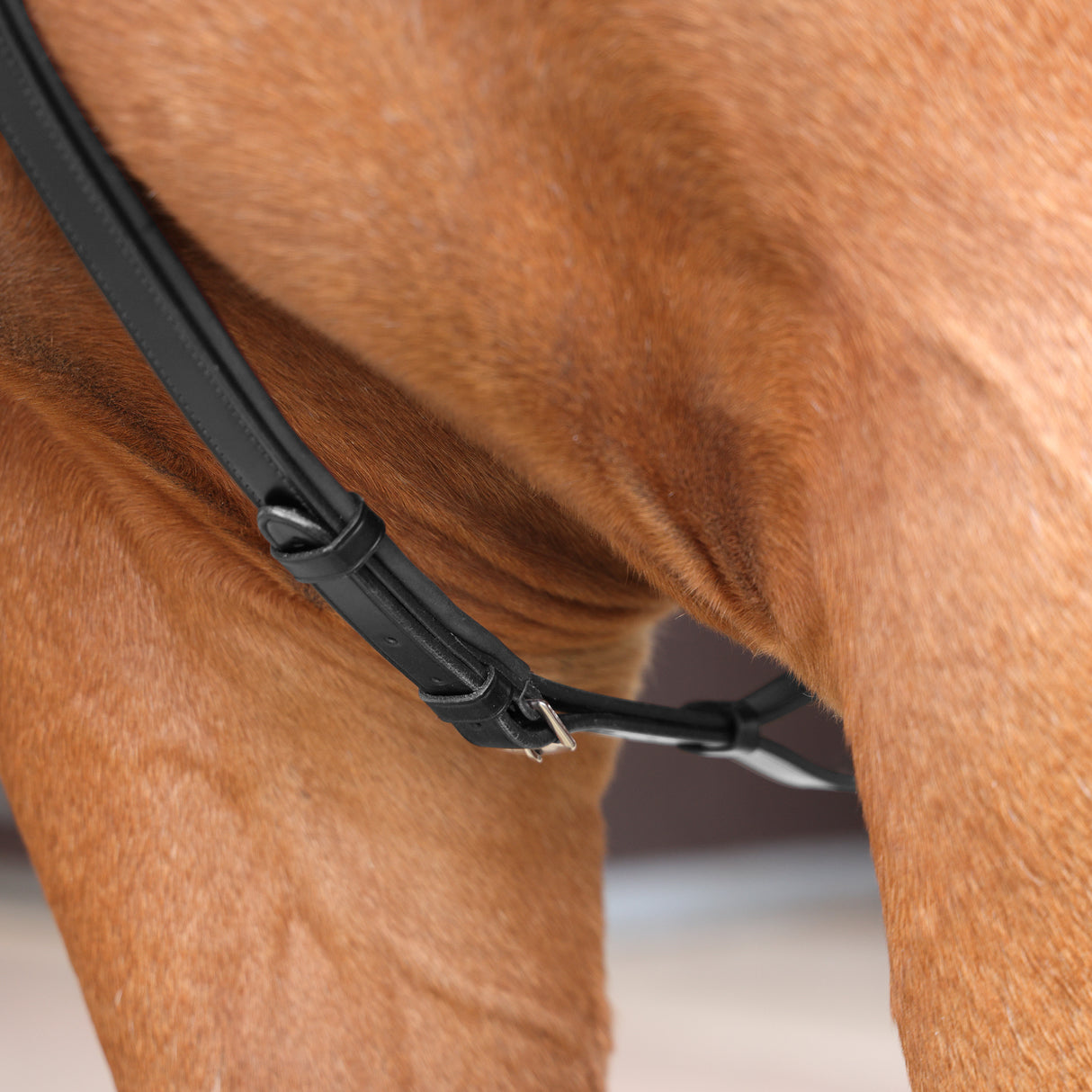 Shires Lusso Three Point Elastic Breastplate #colour_black