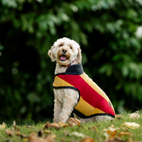 Horseware Ireland Newmarket Dog Fleece #colour_whitney-gold