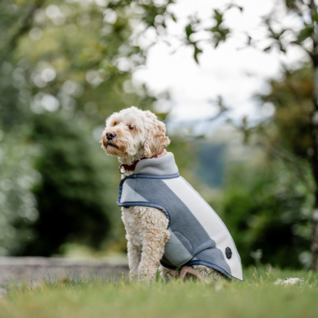 Horseware Ireland Newmarket Dog Fleece #colour_whitney-charcoal