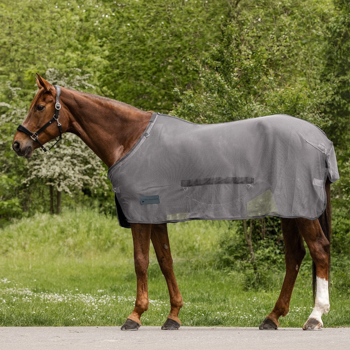 Waldhausen Comfort Fly Rug with Belly Flap #colour_grey