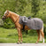 Waldhausen Comfort Fly-Exercise Sheet #colour_grey
