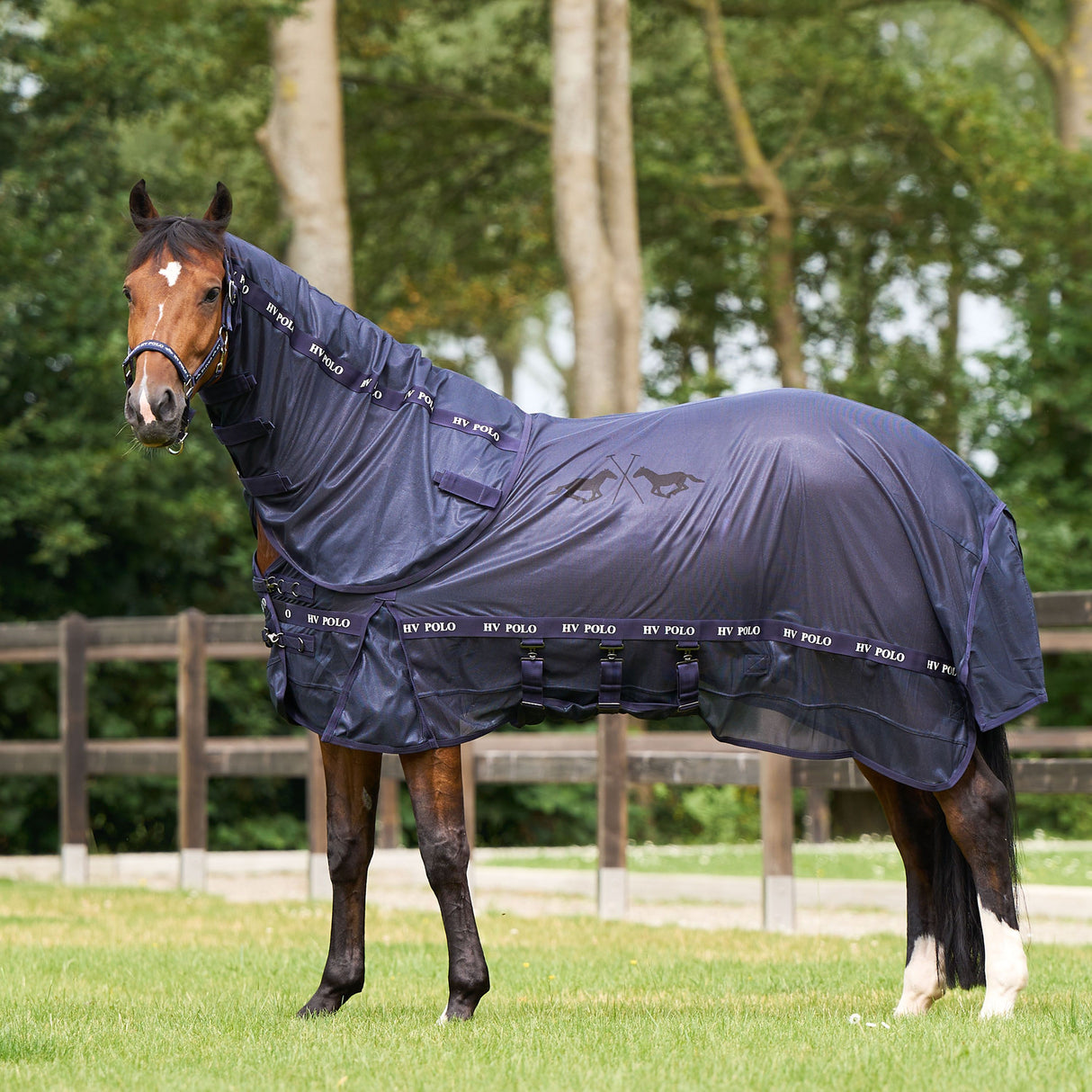 HV Polo Nena Fly Blanket #colour_navy