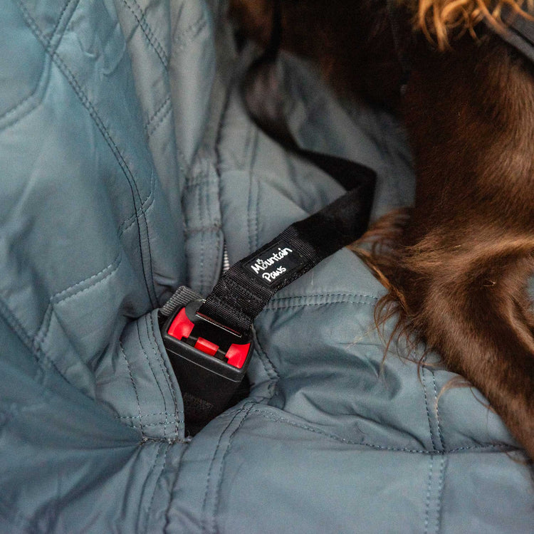 Mountain Paws Dog Seat Belt