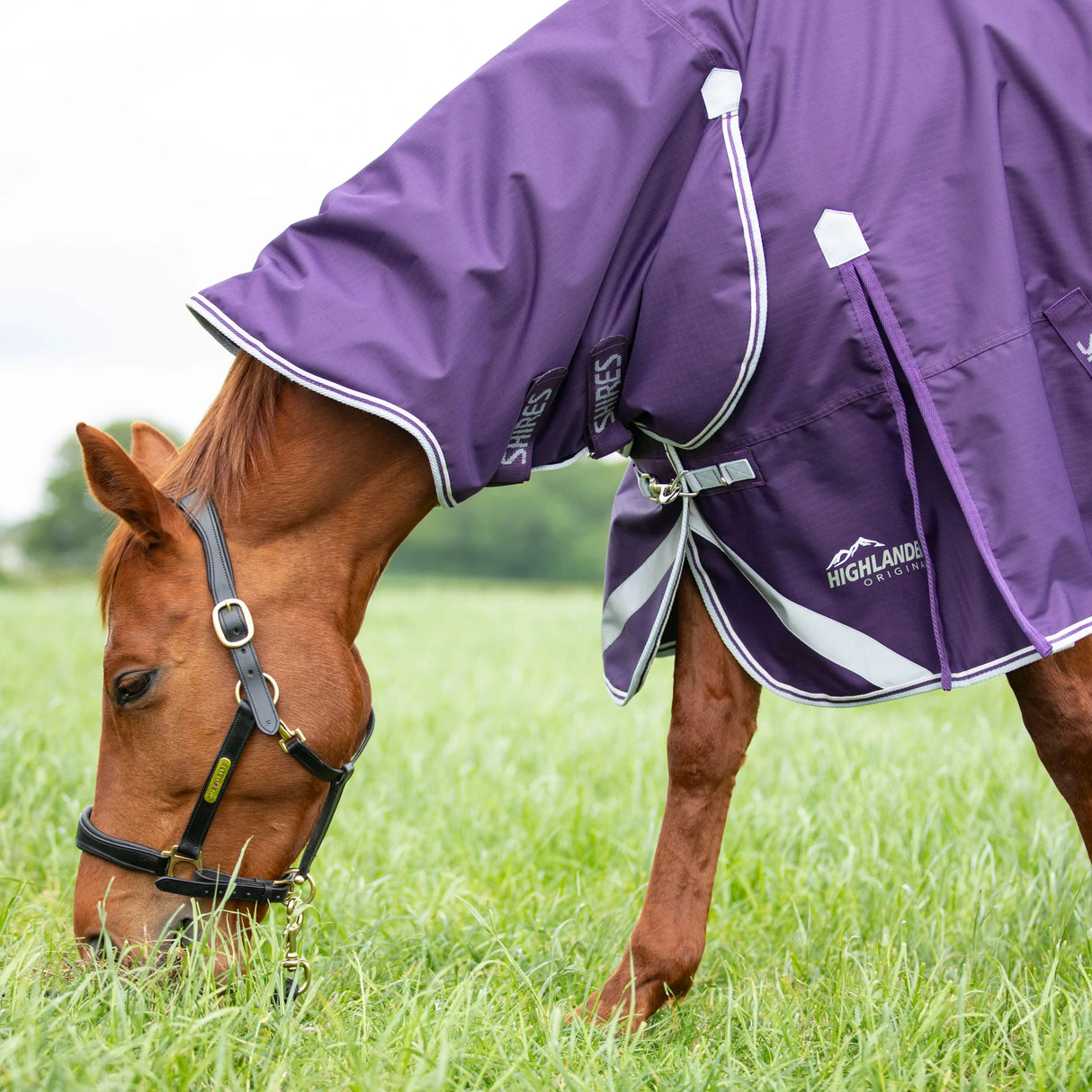 Shires Highlander Original 100g Combo Turnout Rug #colour_plum