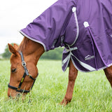 Shires Highlander Original 100g Combo Turnout Rug #colour_plum